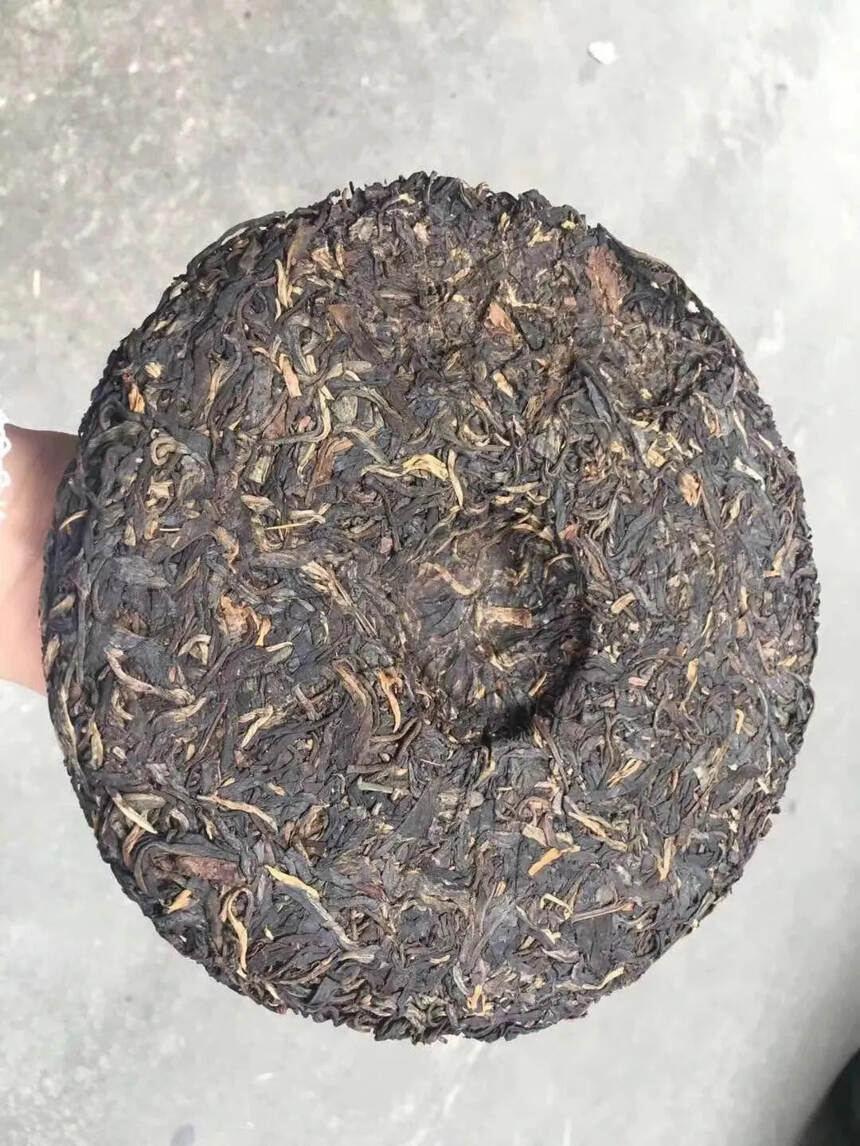 05年易武同昌号茶业易比正山生饼#普洱茶# #发现深