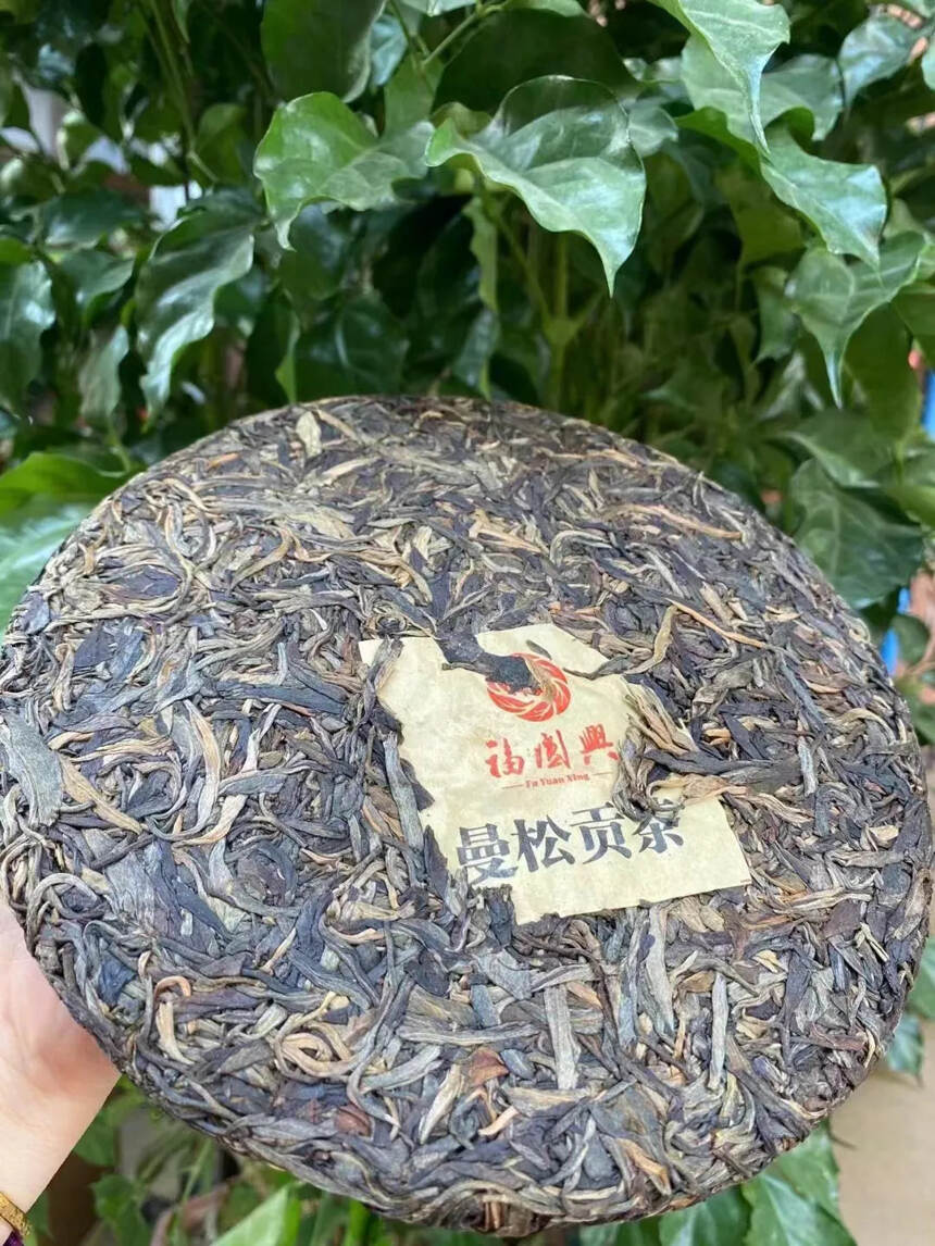 #普洱茶# 曼松古树茶?古代皇帝指定为贡茶品名：曼松