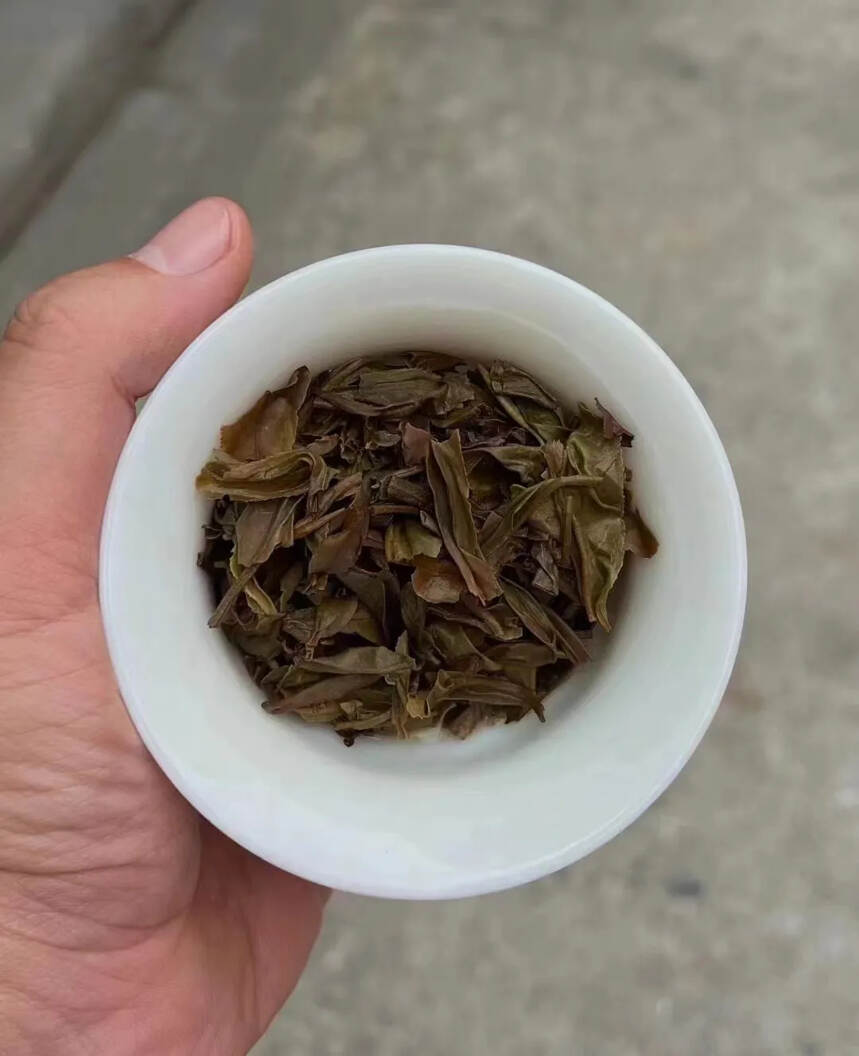 #普洱茶# 班章【茶王青饼】#茶生活#