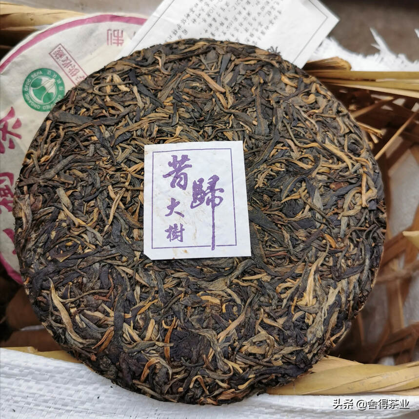 04年昔归大树茶，条索肥壮，芽头修长金黄，茶汤滋味浓