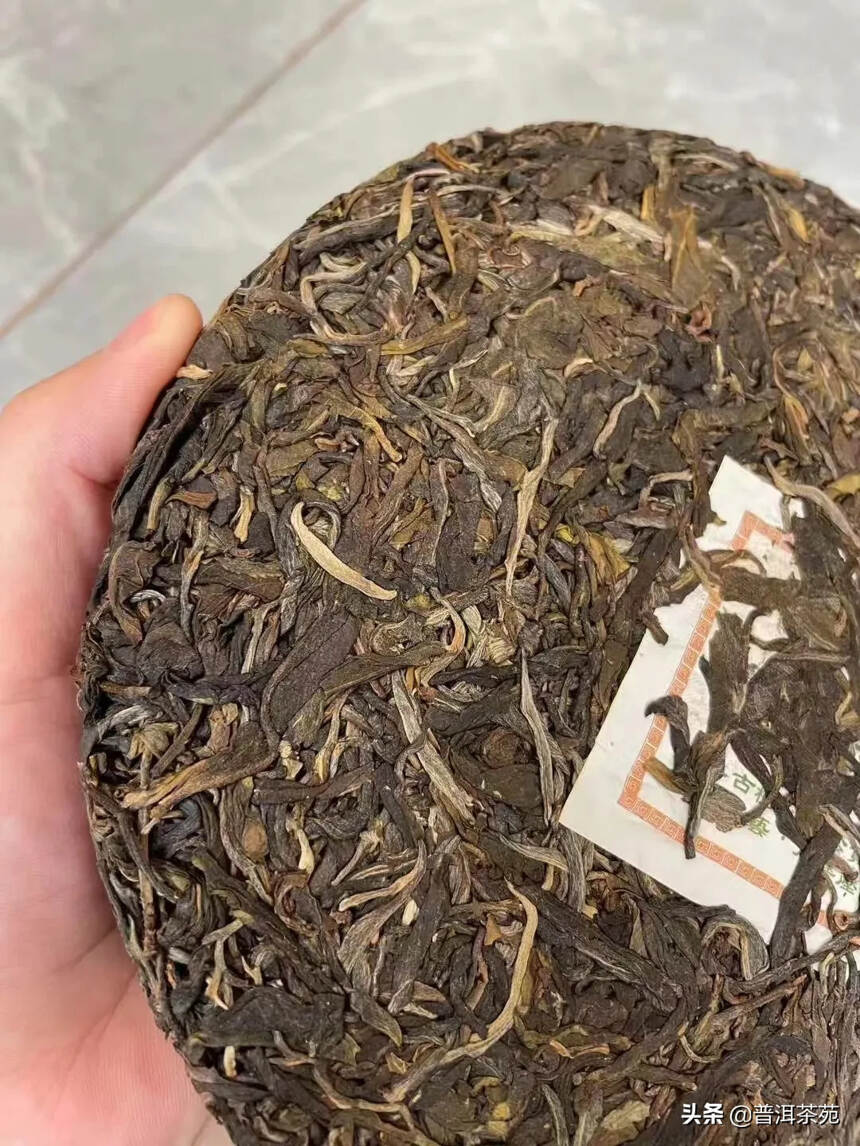 2019年早春第一波古树纯料生茶，选料为纯正的曼松地