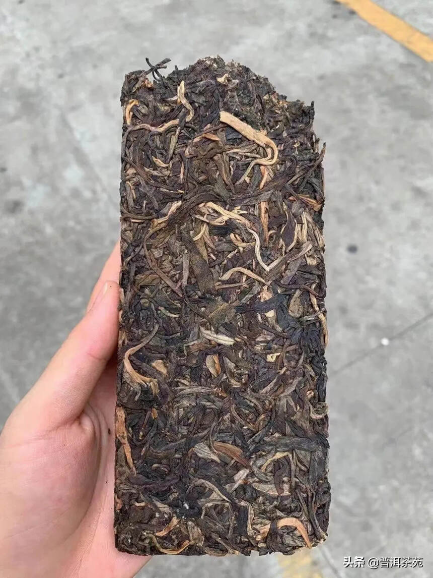 2013年老班章树龄800，春茶老班章#普洱茶# #