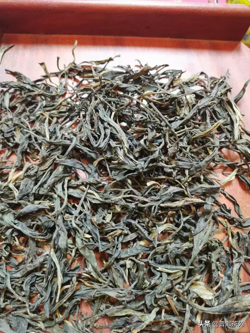 2012年冰岛老寨古树头春散茶#普洱茶# #中国茶韵