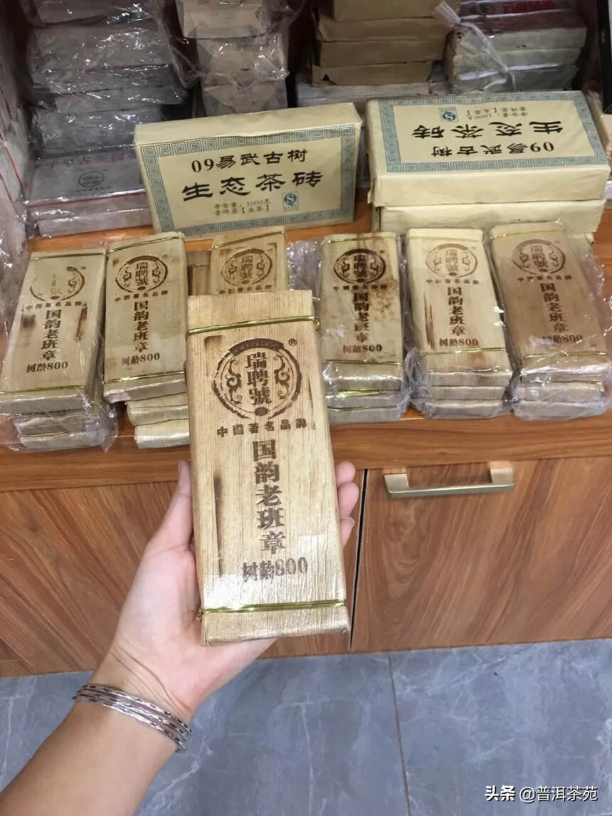 2013年老班章树龄800，春茶老班章#普洱茶# #