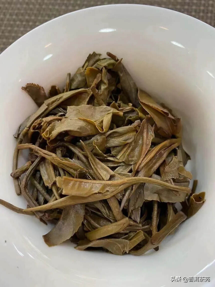 2009年老班章古树茶#普洱茶# #中国茶韵#