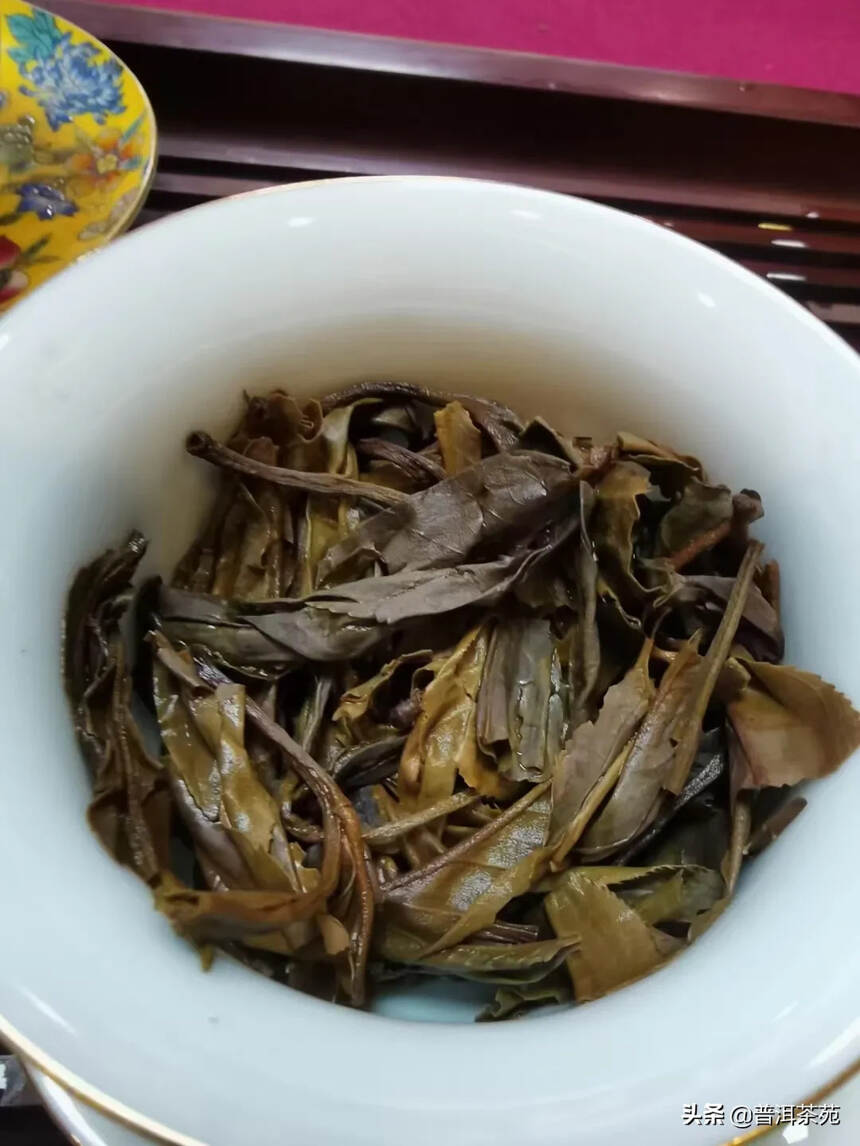 2012年冰岛老寨古树头春散茶#普洱茶# #中国茶韵