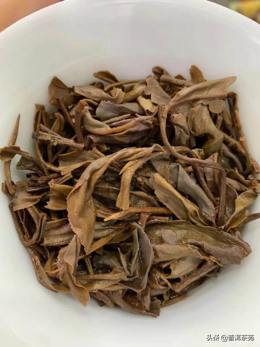 2007年南糯山百年古树早春茶#茶生活# #普洱茶#