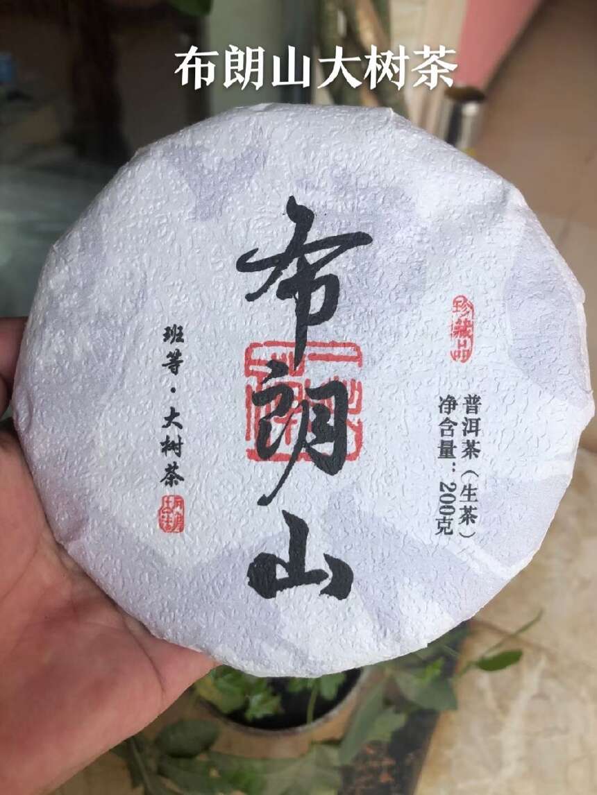 2021年布朗山大树茶  一片200克#茶生活# #