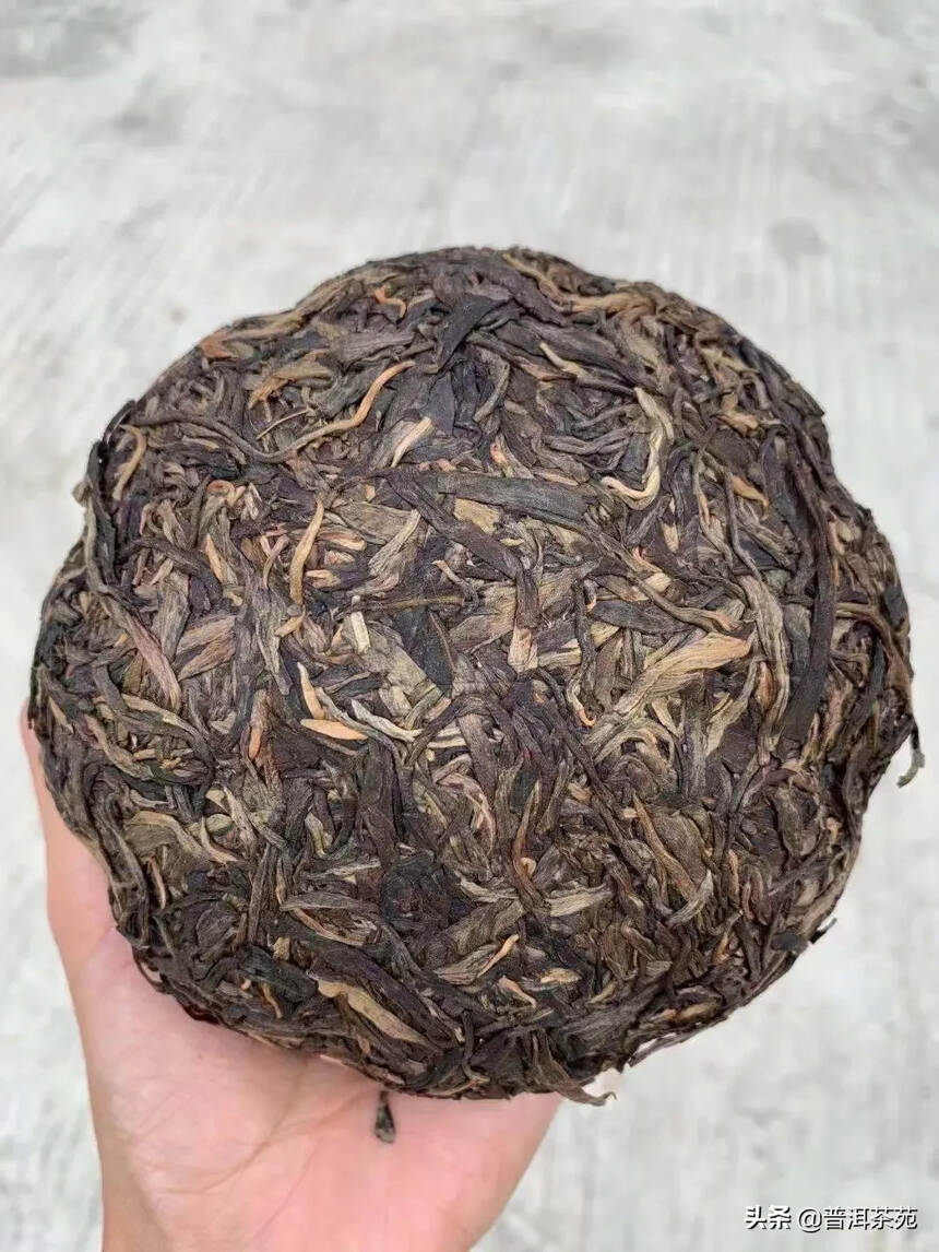 2010年金瓜贡沱，500克/个，4个/条#茶生活#