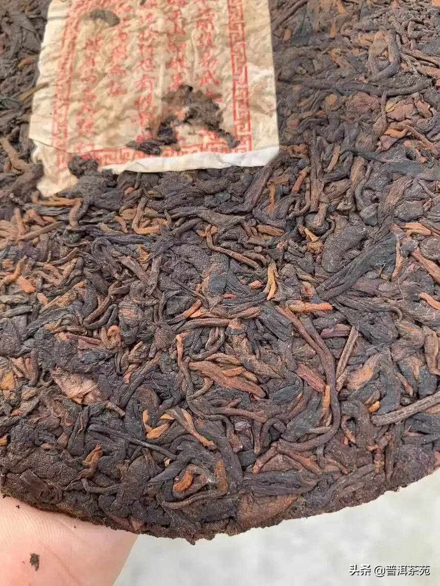 80年代末老熟茶，你喝过吗