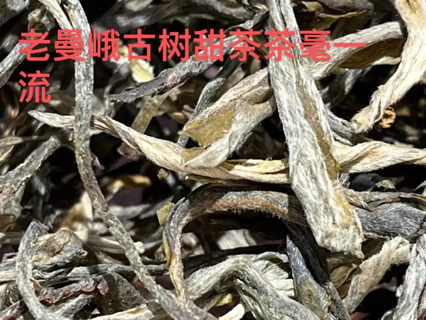 让您喝懂名山名寨
老曼峨．薄荷塘．弯弓
一山一味．各