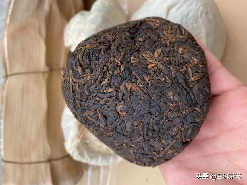 带樟香蘑菇沱熟茶，2000年纯干仓熟茶蘑菇沱，250