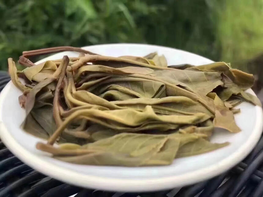 核心资源古树茶：沉水香1．随着茶产业不断的升温．爱茶