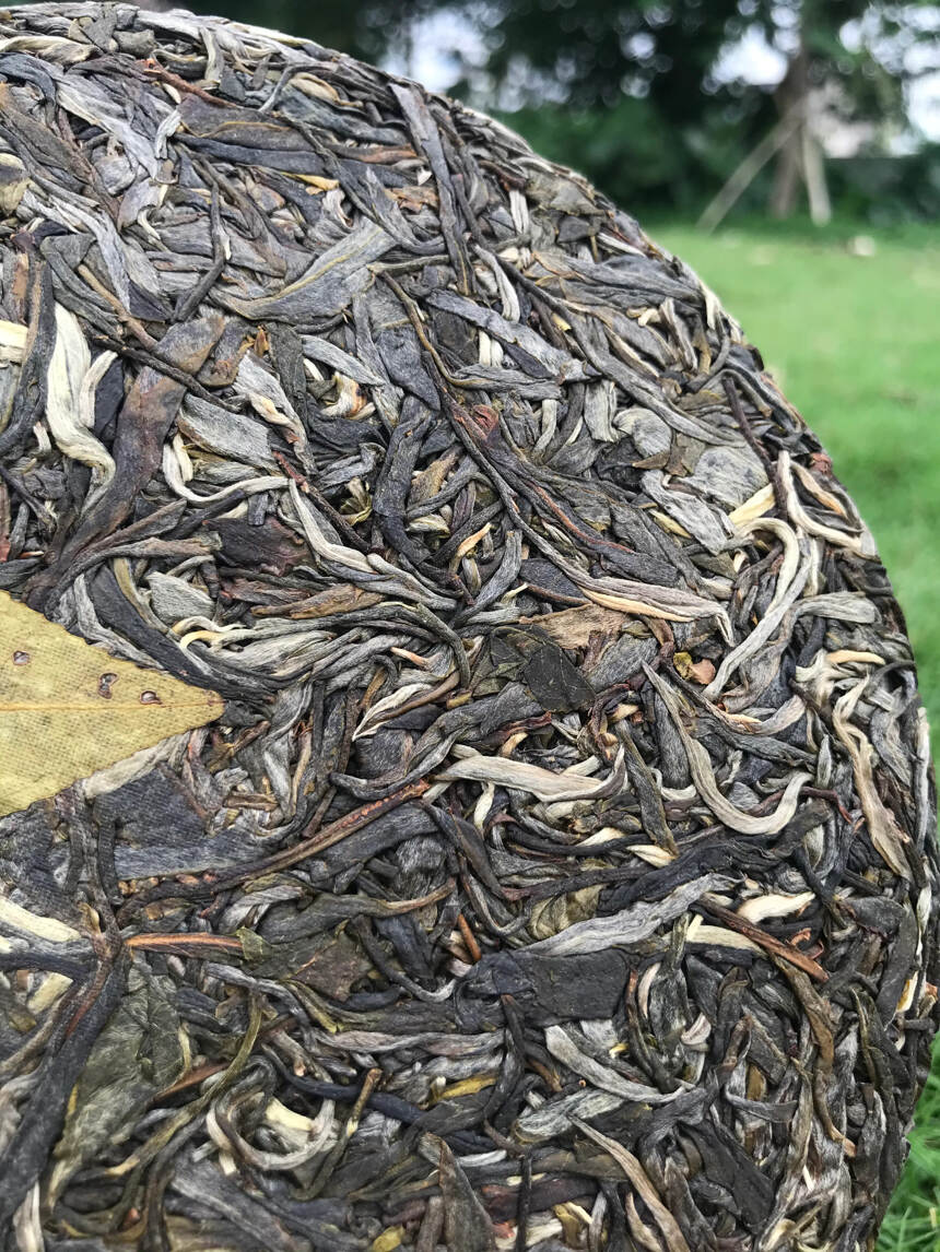 高蜜香现 易武铜箐河古树纯料入口绵和，香气浓郁，回甘