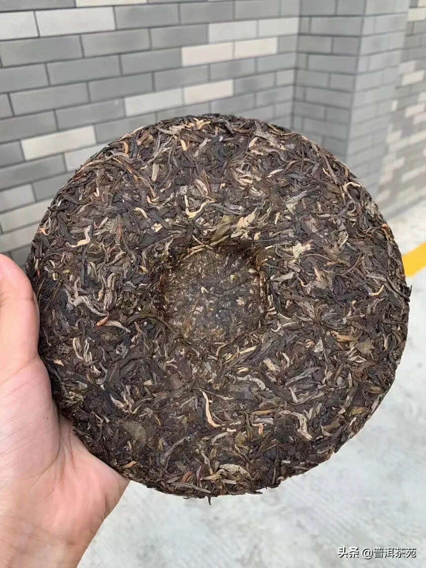 2019年南糯茶王，357克/片#普洱茶# #中国茶