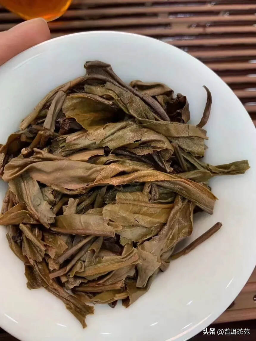 2004年千年古茶树茶青饼， 1000g/片#普洱茶