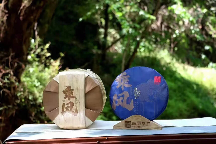 2021年易武高杆茶#茶生活# #普洱茶# #喝茶#