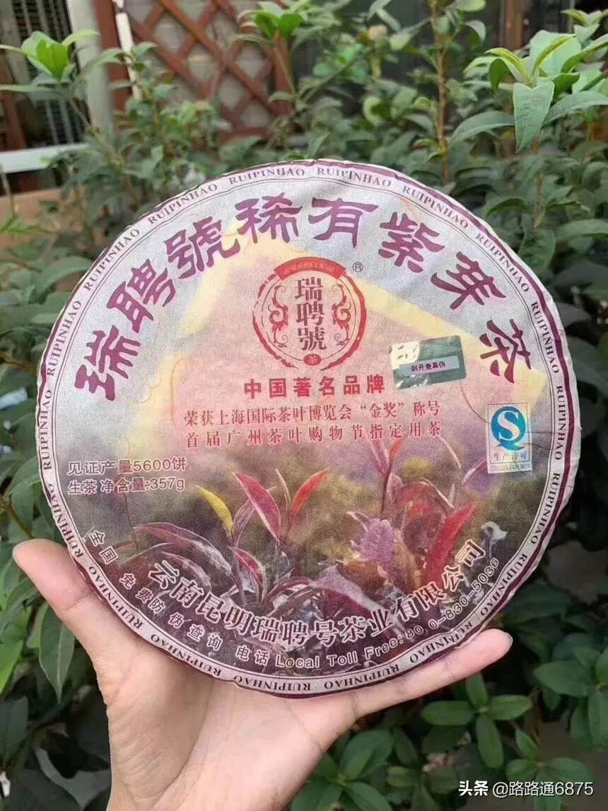 稀有的才珍贵，茶中珍品，少量且稀有——稀有紫芽茶