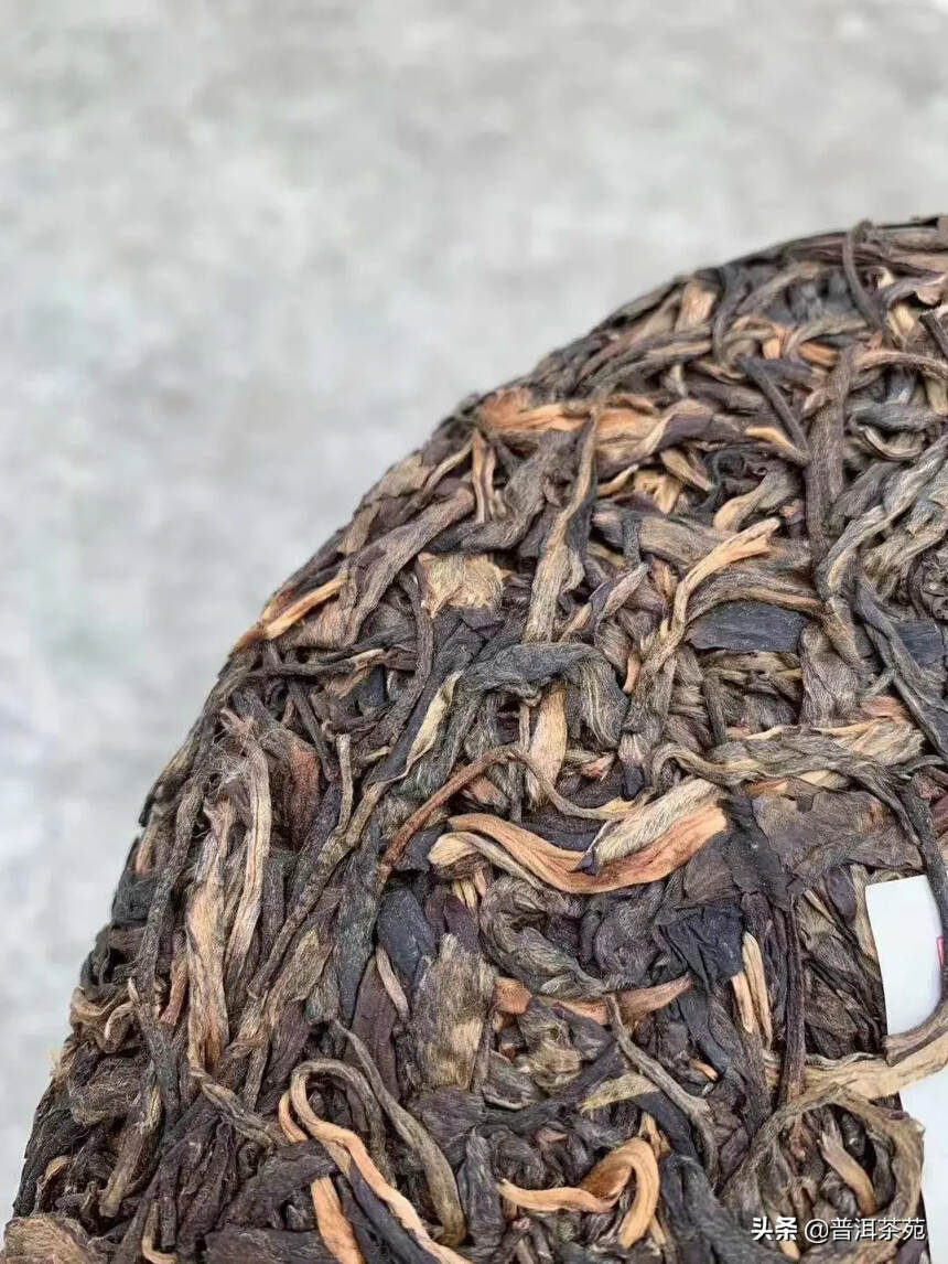 2004年千年古茶树茶青饼， 1000g/片#普洱茶