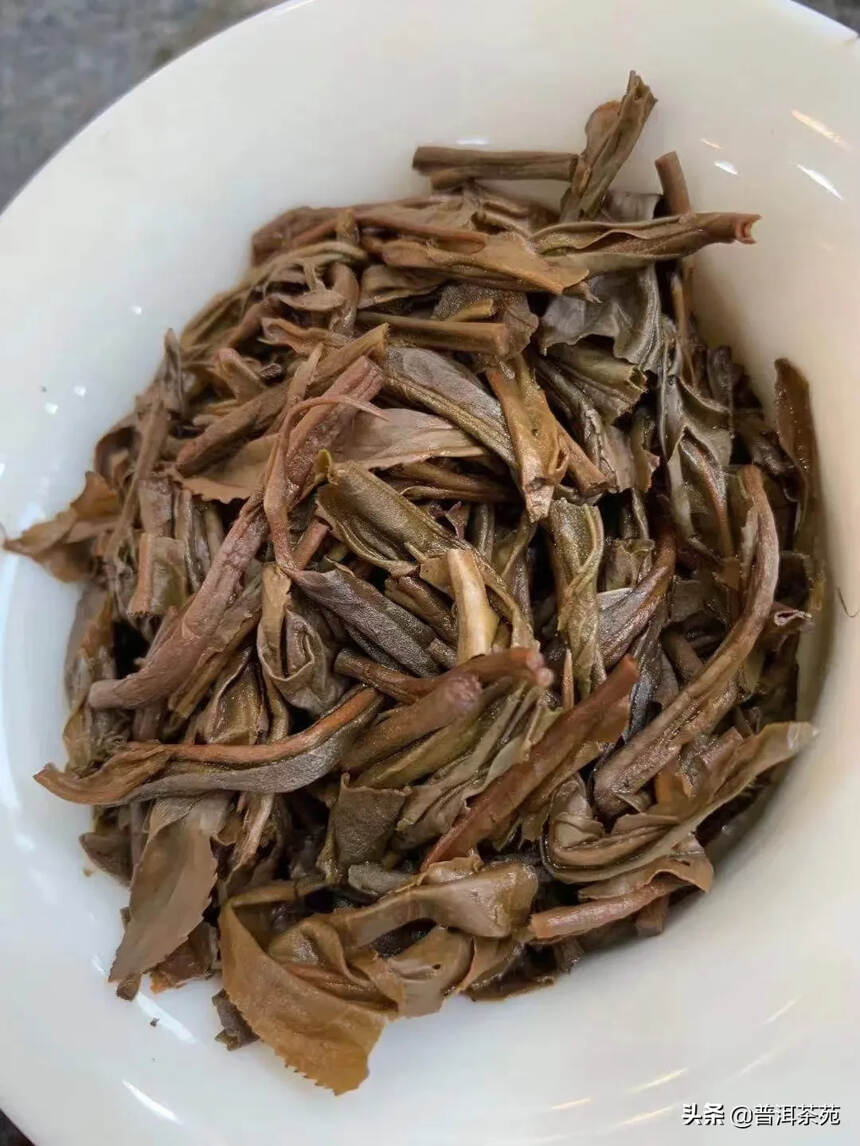 2010年布朗山那达勐茶园#普洱茶# #中国茶韵#