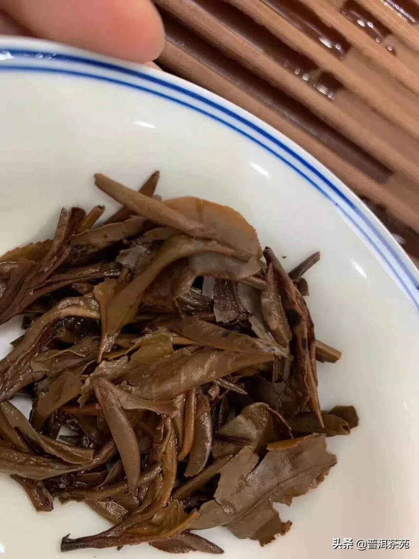 05年班章古茶，一叶春茶，357克/片，7片/提，纯