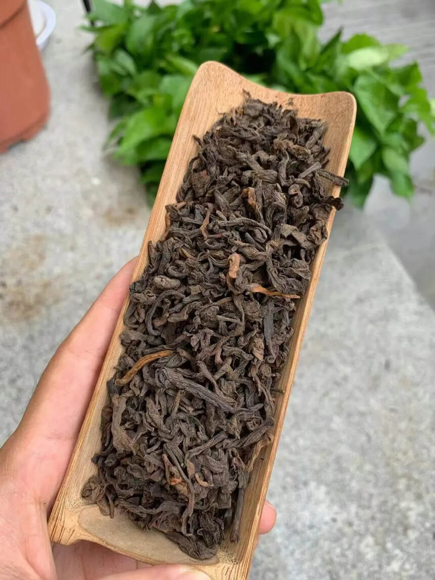 2005年勐海熟茶散料#茶# #茶生活# #喝茶#