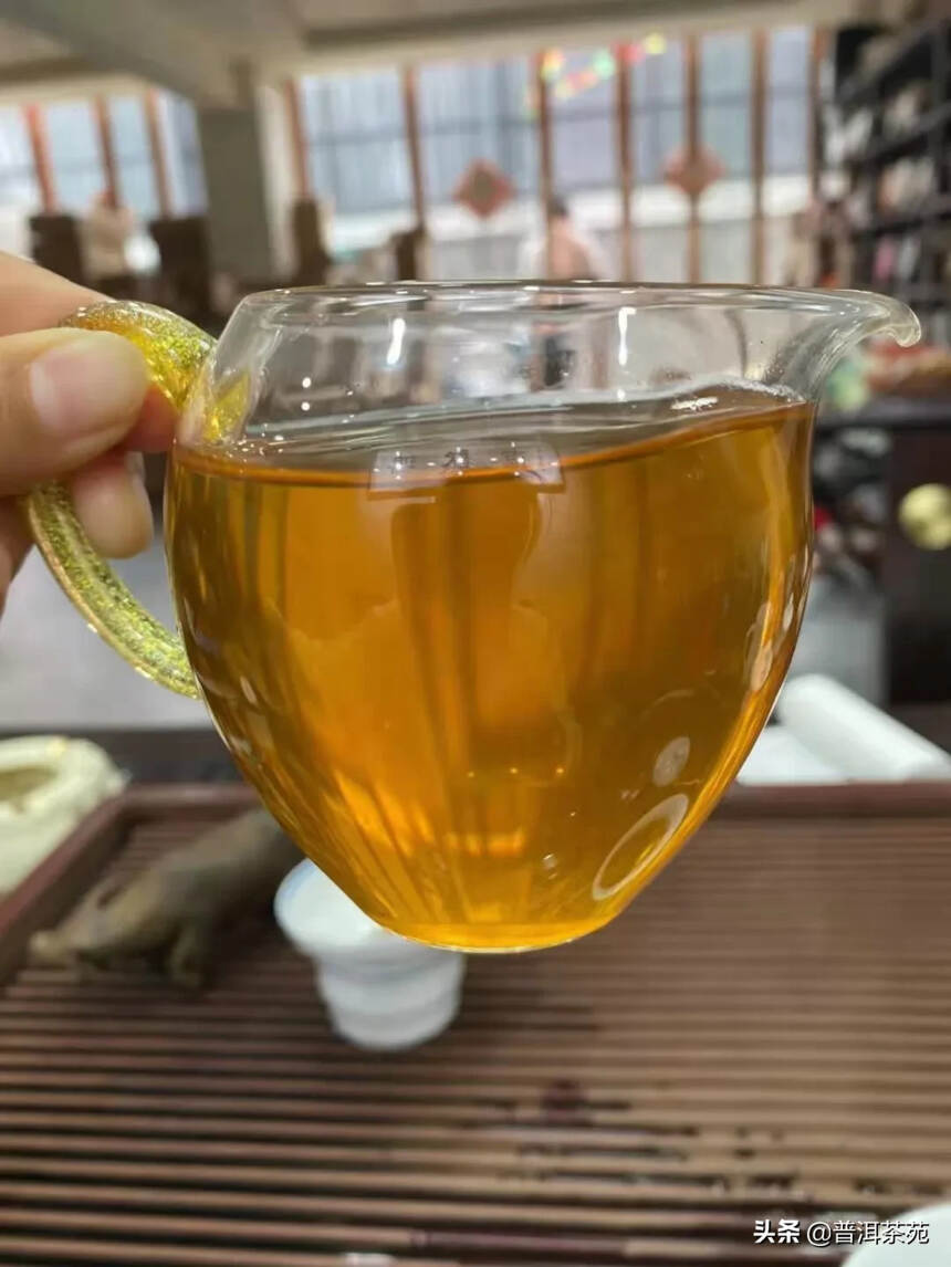 2019年茶马古道易武茶