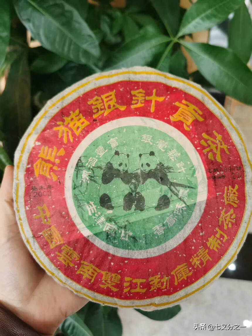 2003年 双江勐库“熊猫银针贡饼”选用03年勐库春