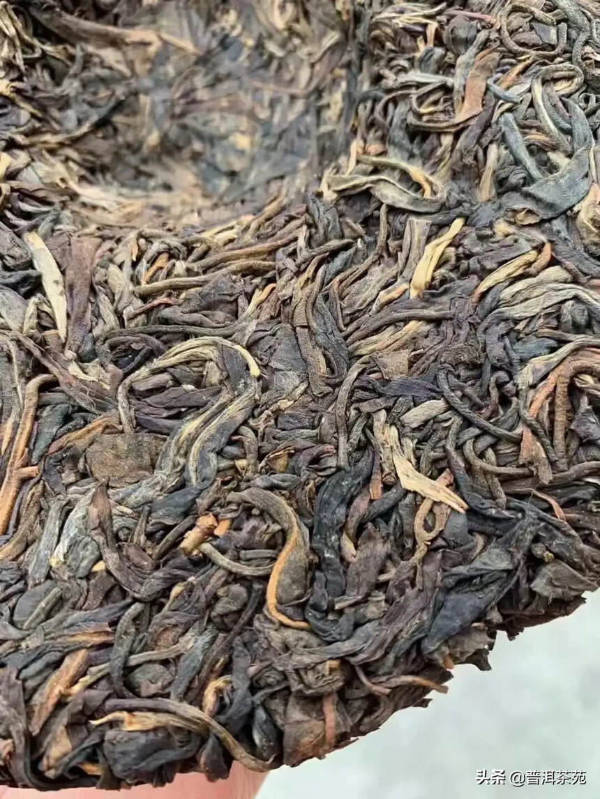 2010年古茶标准350#普洱茶# #中国茶韵#