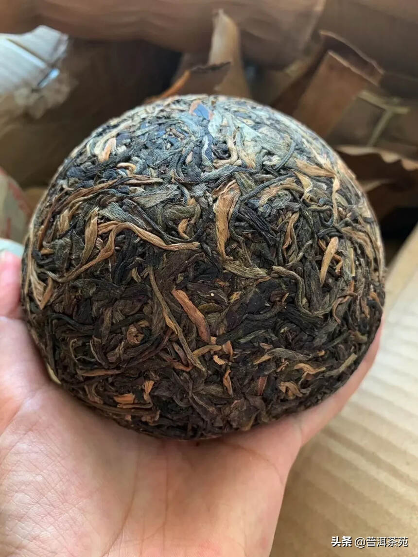 古茶树茶—班章沱。2003年班章沱茶，500克/个#