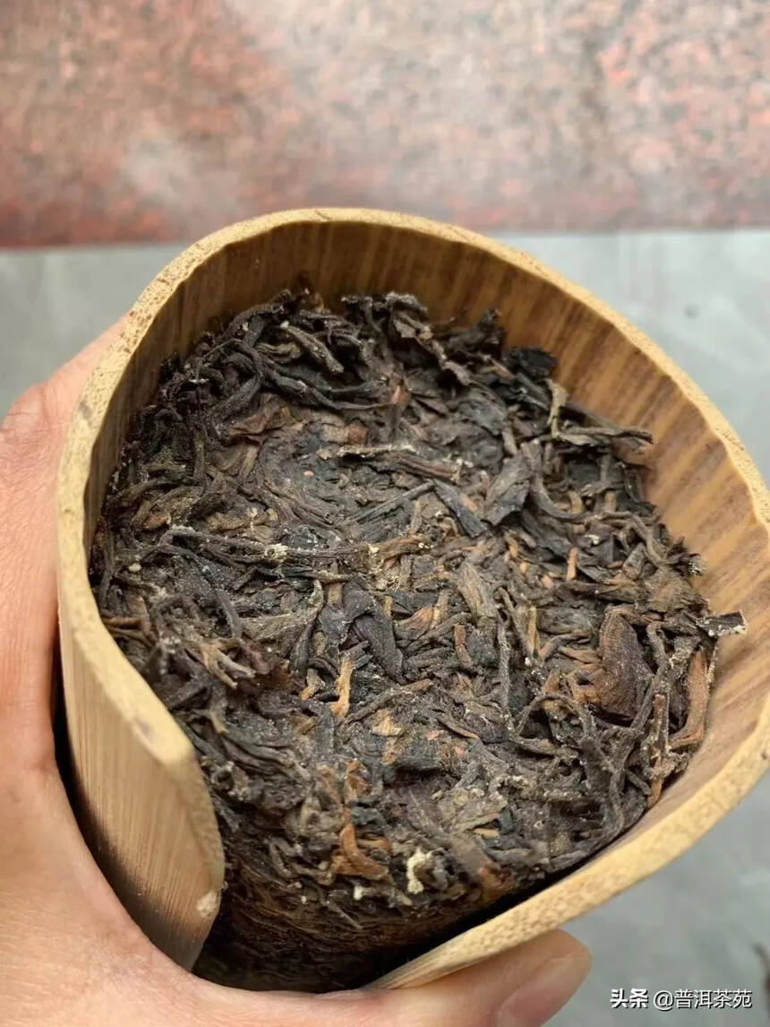 九十年代班章竹筒茶 这是生茶，不是熟茶哦#普洱茶#