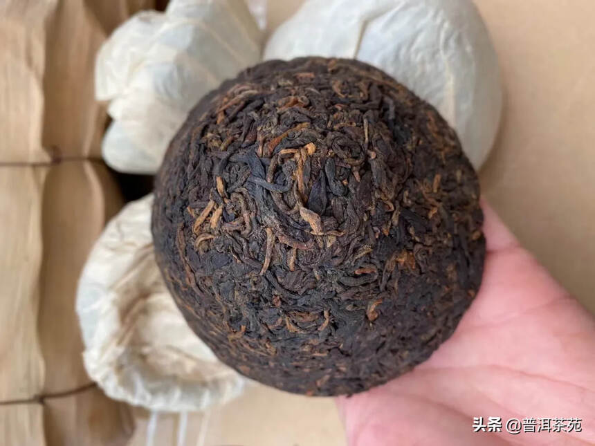 带樟香蘑菇沱熟茶，2000年纯干仓熟茶蘑菇沱，250