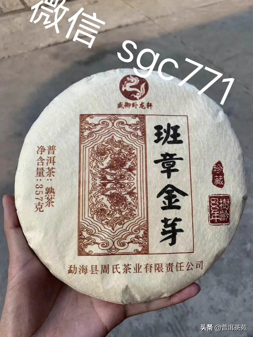 2019年班章金芽熟茶#普洱茶# #中国茶韵#