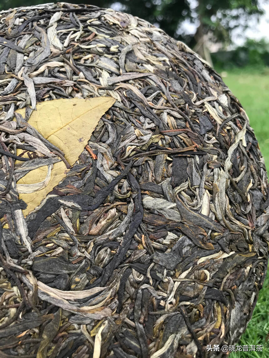 紫古轩之易武龙潭箐强力推荐龙潭箐古树茶茶汤饱满度高、