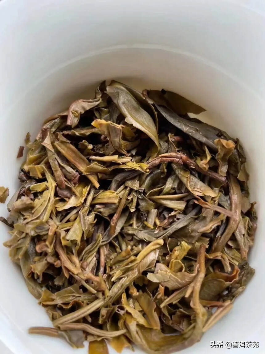 2019年纯料老班章古树茶，357克/片#普洱茶#