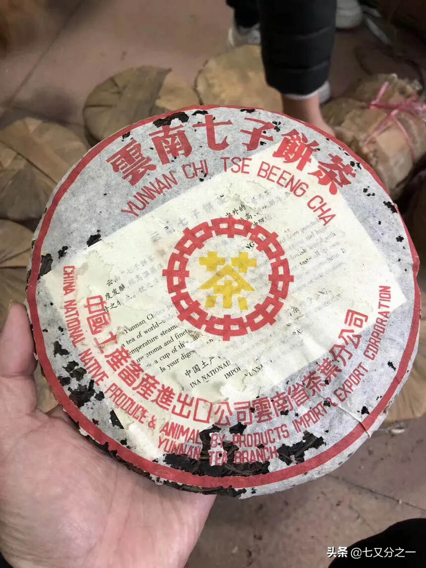 99年黄印老班章橡筋老生茶，选料偏大树！华联公司定制