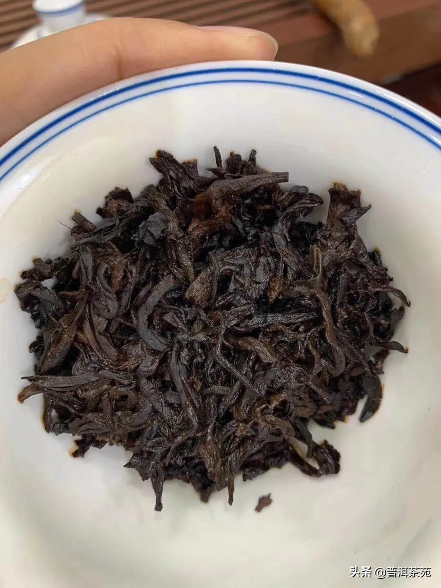 2019年班章金芽熟茶#普洱茶# #中国茶韵#