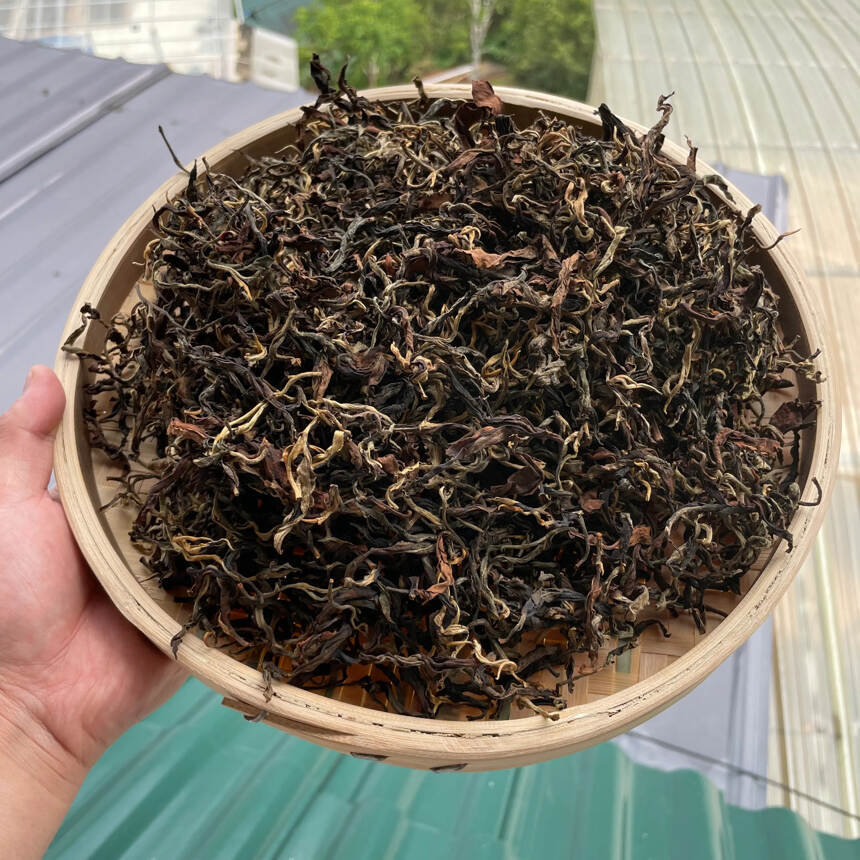 #茶生活# #古树茶# #山头茶# 
帕沙古树晒红，