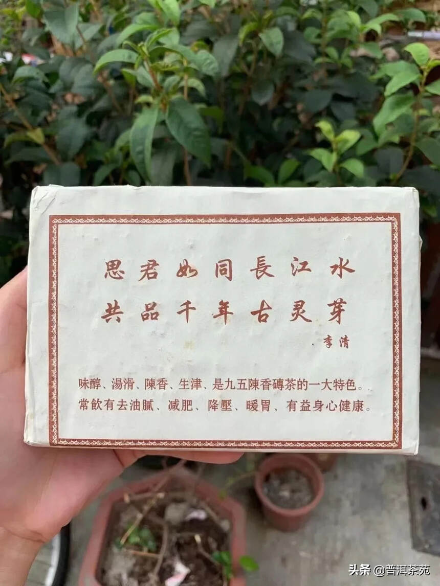 1995年—九九五陈砖 熟茶，250g/砖#普洱茶#