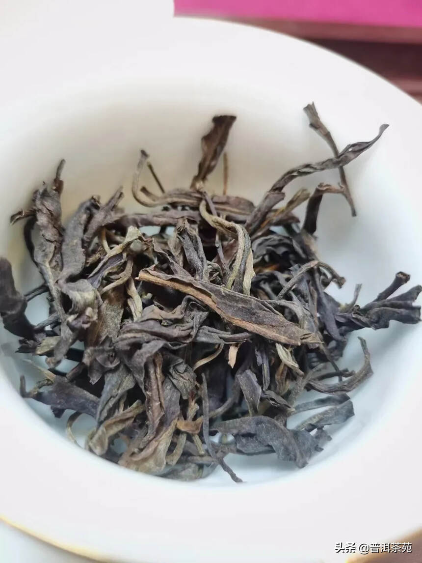 2012年冰岛老寨古树头春散茶#普洱茶# #中国茶韵