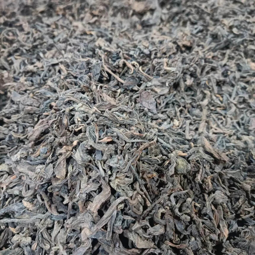 勐海老散熟，纯纯的野樟香#茶生活# #喝茶#
