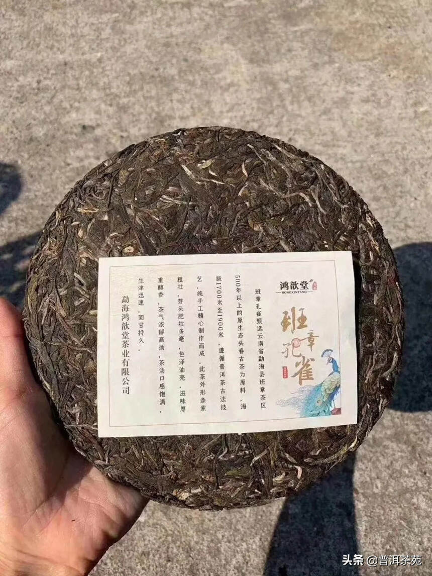 纯正班章古树生茶，2020年班章孔雀饼357g/片#