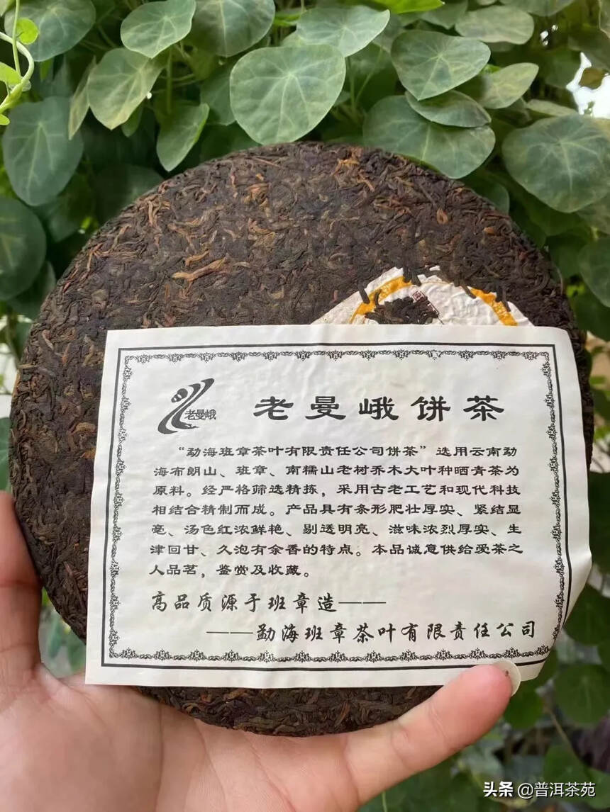 2006年老曼峨班章普洱熟茶#普洱茶# #中国茶韵#