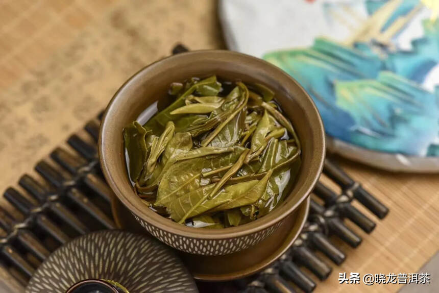 定倚邦山曼松所产之茶为贡茶。
曼松贡茶，春芽细嫩。