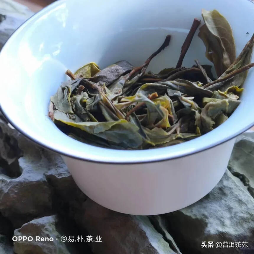 “昔归.古树”生茶
2020年春茶，兰花香，玉兰花香