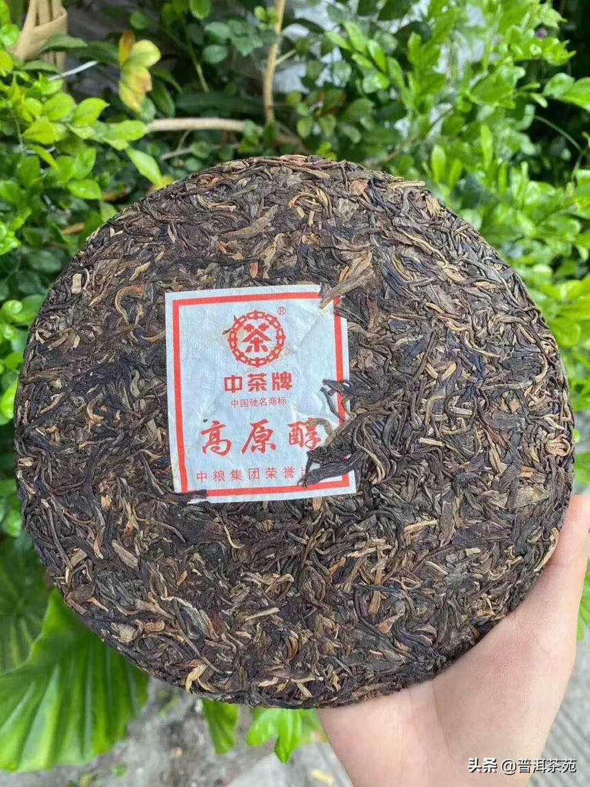 2013年 高原醇 生茶饼#茶生活# #普洱茶# #