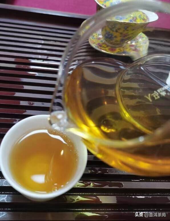 2012年冰岛老寨古树头春散茶#普洱茶# #中国茶韵