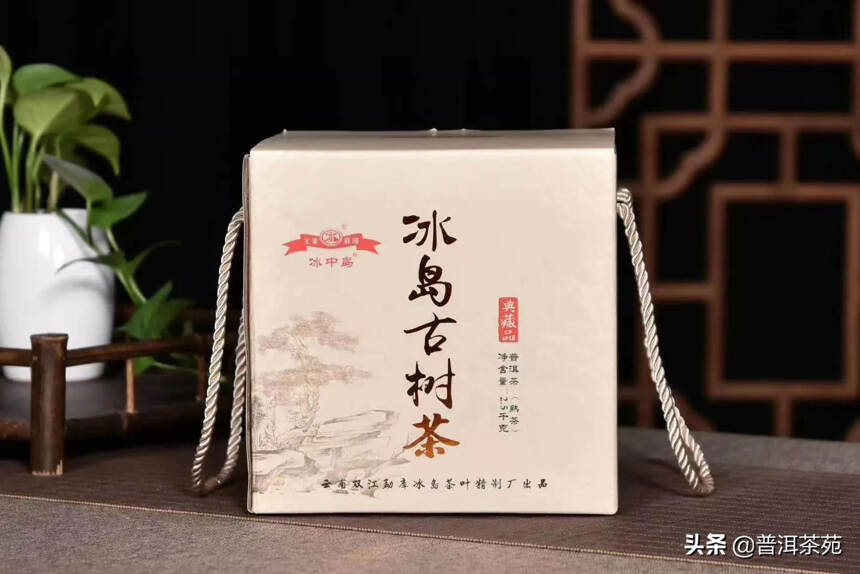 2019年冰岛古树熟茶#普洱茶# #中国茶韵#