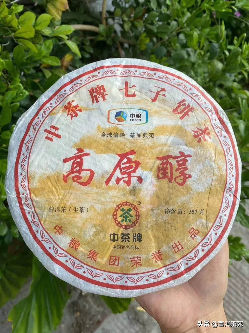 2013年 高原醇 生茶饼#茶生活# #普洱茶# #