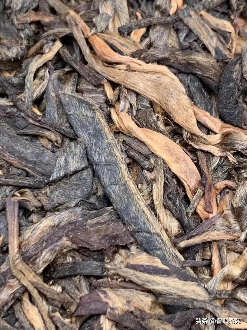 2004年千年古茶树茶青饼， 1000g/片#普洱茶